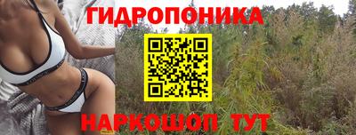 гашиш Кинель