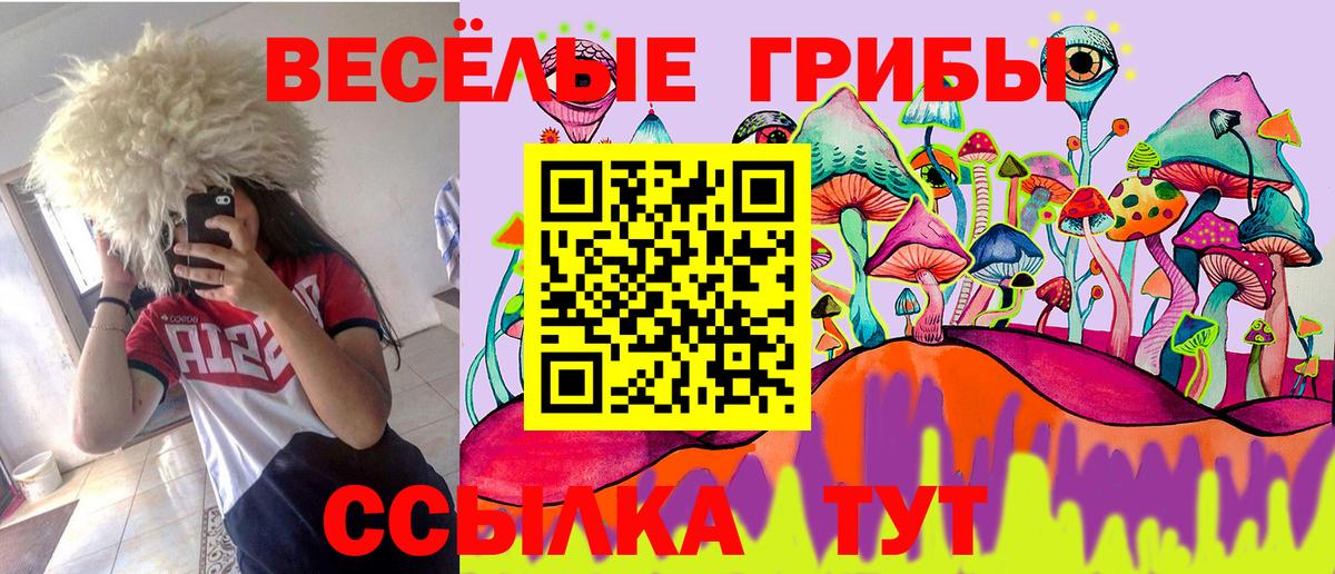 что такое   Вход с VPN  Псилоцибиновые грибы мухоморы  Елизово  Галлюциногенные грибы прущие грибы 