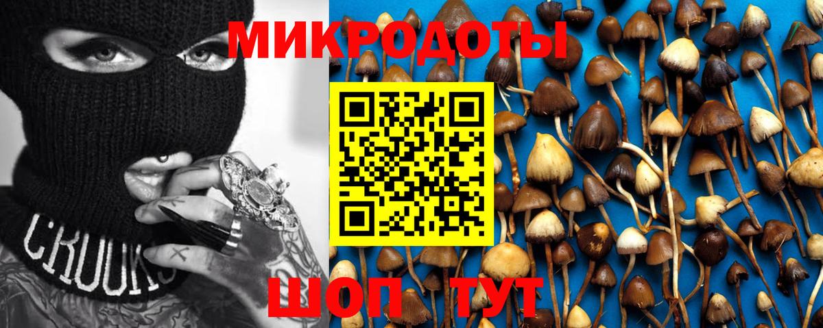 Псилоцибиновые грибы Psilocybine cubensis Елизово